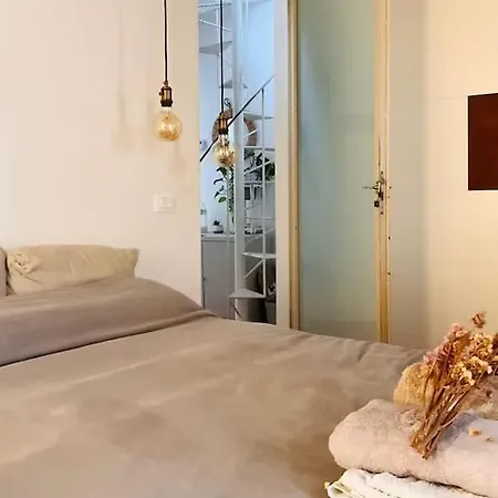 La Magnolia *