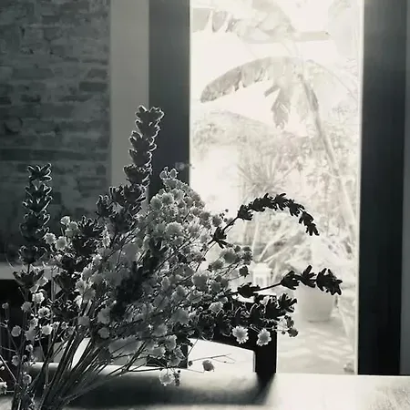 La Magnolia